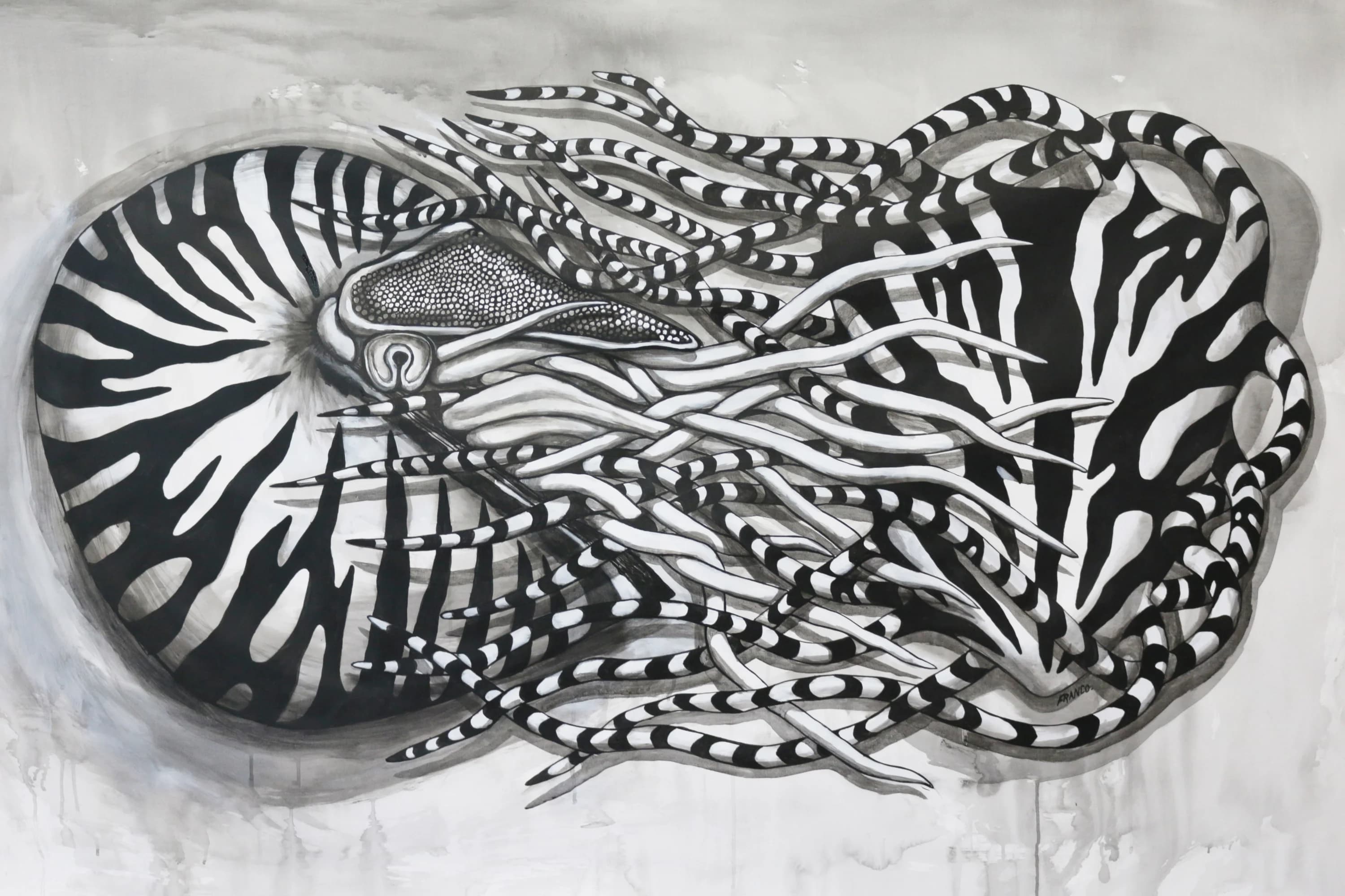 Franco3 by Jose Franco